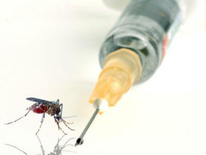 Indian scientists develop breakthrough dengue drug 